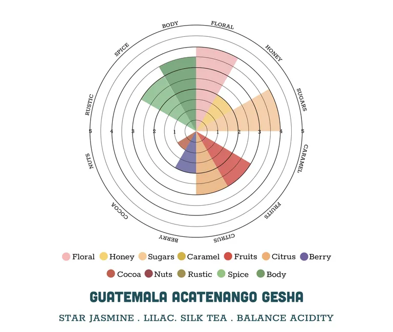 guatemala-sieuthicafe-02.jpg
