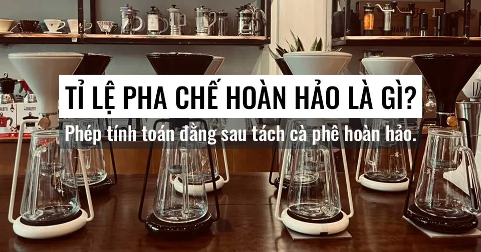 ti-le-pha-ca-phe-hoan-hao.jpg