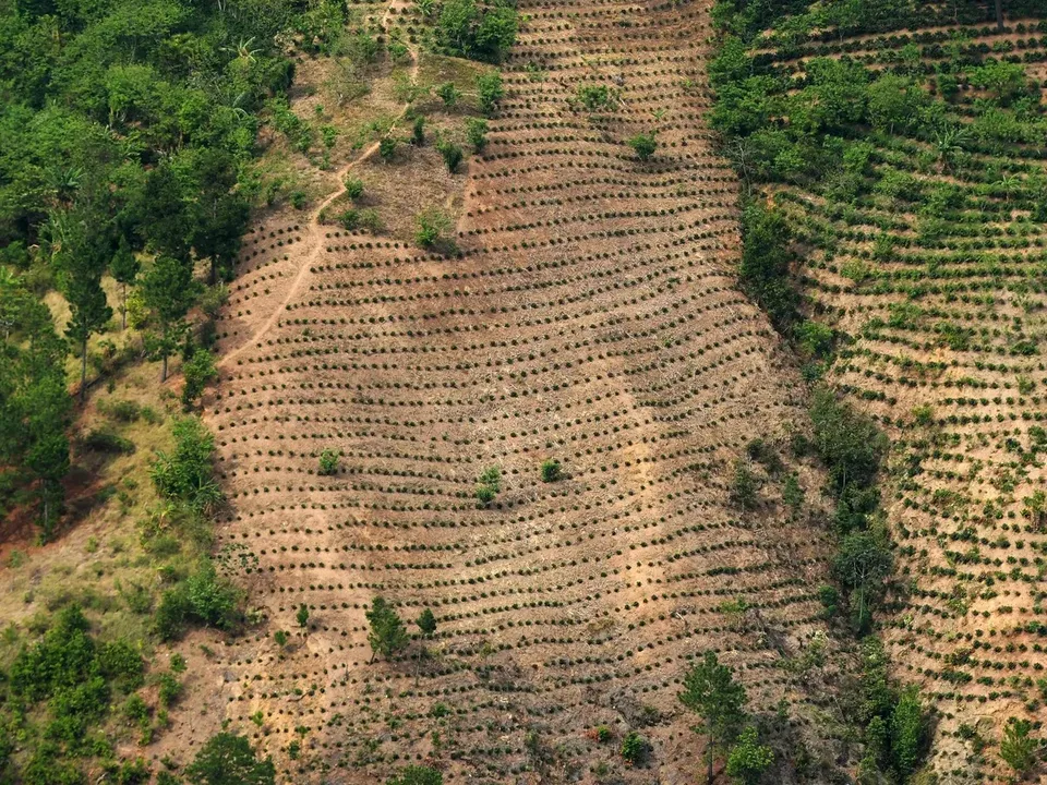 panama-deforest
